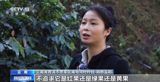 搭”经营 云南“咖啡＋”成消费新时尚开元棋牌app｜用好豆出好咖啡 “混(图3)