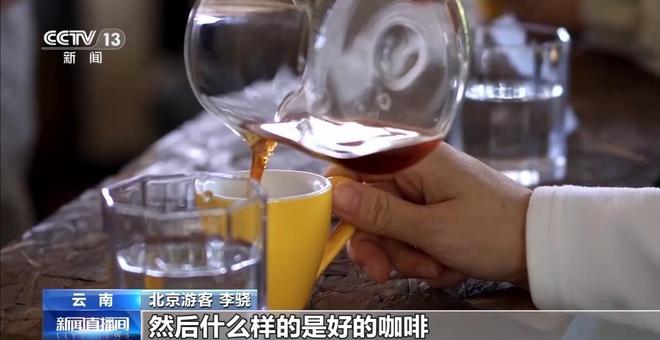 搭”经营 云南“咖啡＋”成消费新时尚开元棋牌app｜用好豆出好咖啡 “混(图4)