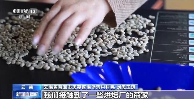 搭”经营 云南“咖啡＋”成消费新时尚开元棋牌app｜用好豆出好咖啡 “混(图5)
